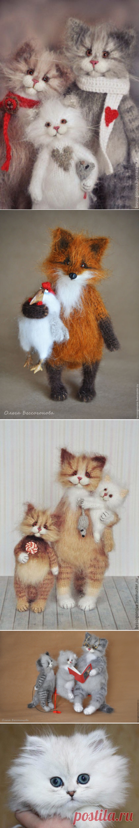 Коты Ольги Бессогоновой: милые и пушистые звери