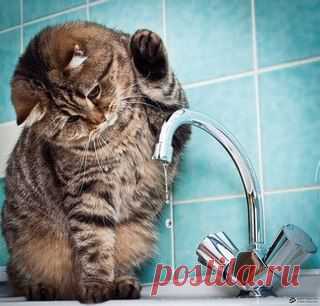 Редкие кадры