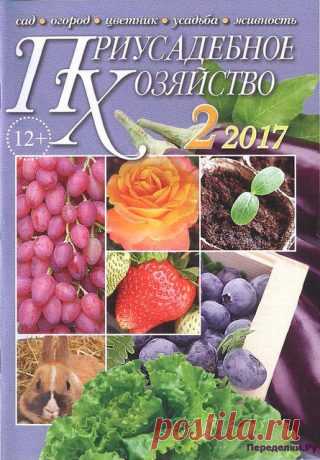 Приусадебное хозяйство 2 2017 | ПЕРЕДЕЛКИ.рУ