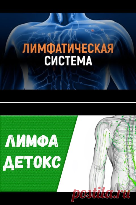 (11660) Как разогнать лимфу Комплекс упражнений лимфа - YouTube