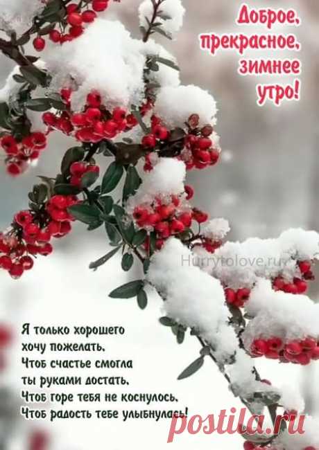 Картинки доброе зимнее утро: открытки зимние со стихами