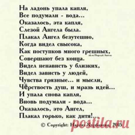(49) Одноклассники