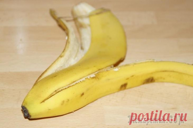 ТОП-3 вида удобрения из банановой кожуры для комнатных растений