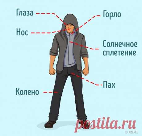 7 лучших рекомендаций по самообороне, которые советует запомнить профессионал 
Признанный российский мастер боевых и спортивных единоборств Виктор Лялько написал книгу-пособие, в которой подробно рассказал о самых действенных приемах самозащиты, могущих помочь девушкам в случае…