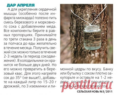 Березовый сок для лечения сердца