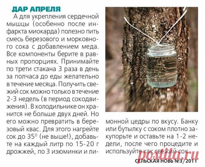 Березовый сок для лечения сердца