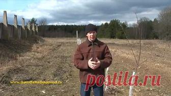 Подписывайтесь на 