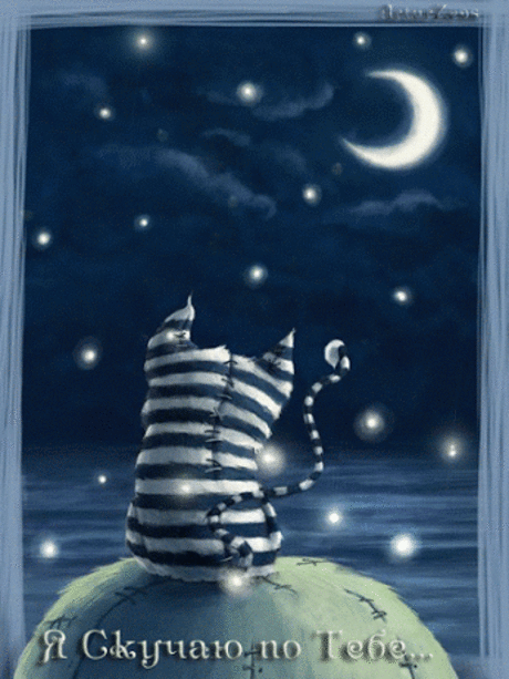 Живые фотографии – Живые картинки – Сообщество – Google+