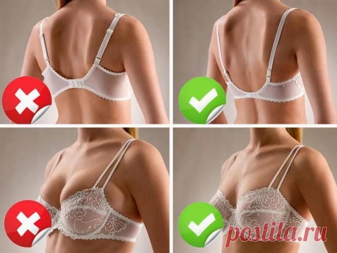 Как ушить бюстгальтер в объеме, купальник, лифчик в чашечках своими руками