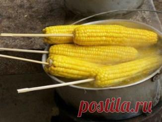 3 способа создания занавесок без единого шва — Копилочка полезных советов