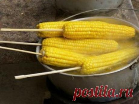 3 способа создания занавесок без единого шва — Копилочка полезных советов