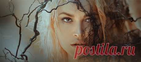 (48) Одноклассники