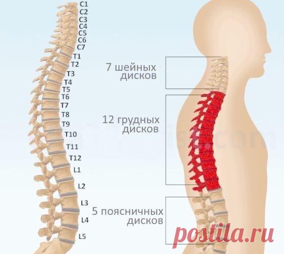 О каких болезнях расскажет наш позвоночник. 9 советов, как помочь ему оставаться здоровым в возрасте 45+