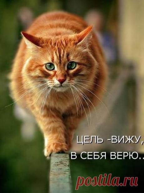 Следуйте целям преданно и ответственно. Когда вы уже настроили ум на определенную цель, следуйте ей. Будьте готовы к препятствиям и не ожидайте немедленных результатов. Все хорошее требует времени и напряженной работы, но оно будет того стоить в конечном итоге, когда вы достигнете своих целей. Помните, что в конце жизни вы скорее будете жалеть о том, что не сделали, чем о том, что сделали.