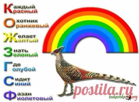 Память, мнемоника, запоминалки