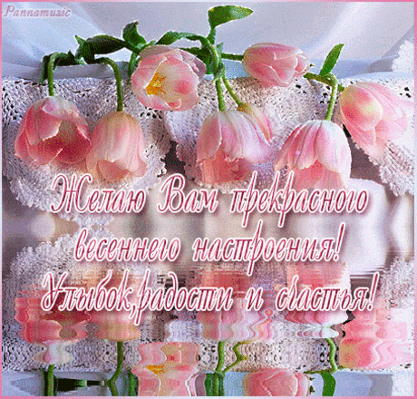 ...ТАК ХОТЯТ ЗВЁЗДЫ....