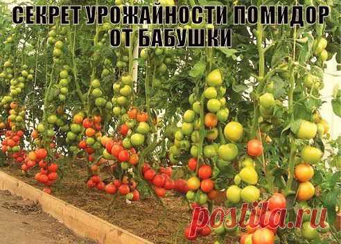 Вам сообщение!