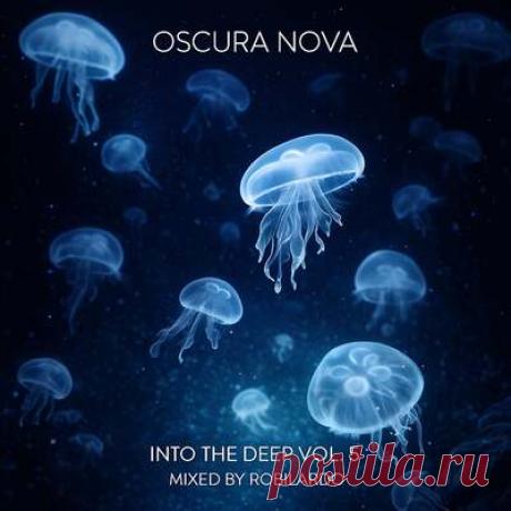 MXV, John Creamer - Into The Deep Vol. 5 | Progonlymusic MXV, John Creamer - Into The Deep Vol. 5. BPM: 123, 120, 121, 122, 124. Key: G, Ebm, Abm, Em, Fm, Dm, Bb, A, Ab. Listen new music on Progonlymusic.
