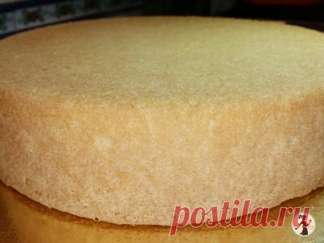 Pan di Spagna senza Lievito altissimo ricetta garantita di boccone goloso Pan di Spagna senza lievito altissimo è un impasto base della pasticceria italiana e si adatta per mille torte diverse l unico limite è la nostra fantasia.