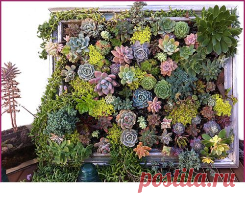 Живые картины - Садоводка