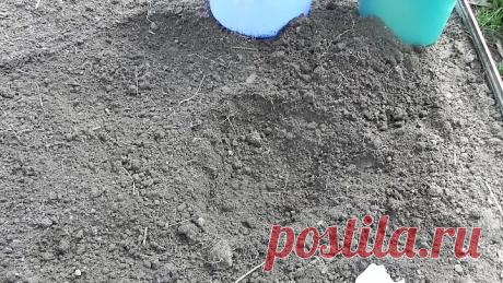 ЧТО КЛАСТЬ В ЛУНКИ ПРИ ПОСАДКЕ