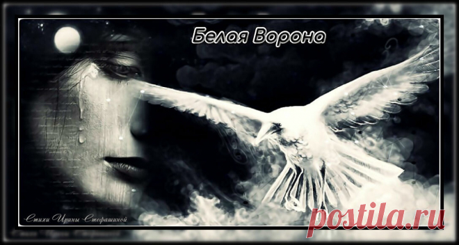 Белая Ворона | Творчество Ирины Стефашиной | Яндекс Дзен