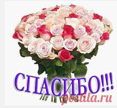 Лечим узлы на щитовидной железе..