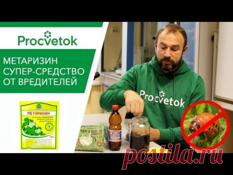 (8) УДАР ПО ВРЕДИТЕЛЯМ БЕЗ ХИМИИ! Готовим Метаризин своими руками - YouTube