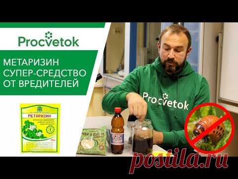 (8) УДАР ПО ВРЕДИТЕЛЯМ БЕЗ ХИМИИ! Готовим Метаризин своими руками - YouTube