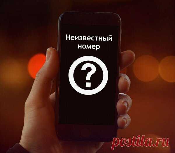 Почему нельзя перезванивать на незнакомые номера? | AndroidLime | Яндекс Дзен