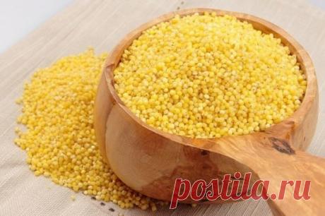 Лечение почек пшеном очень эффективно. 
Пшено выводит камни и песок из почек, из мочевого пузыря, лечит цистит, помогает при женских заболеваниях.
Статья посвящена старинным, немного забытым методам лечения почек пшеном, которые можно применять и в наши дни.
1. Стакан пшена промыть теплой водой, высыпать в 3-литровую банку и залить все горячей водой. После этого настаивать при комнатной температуре, укрыв чем-то теплым. На следующий день Вы увидите белую взвесь в воде. Вот она и есть ваше лека