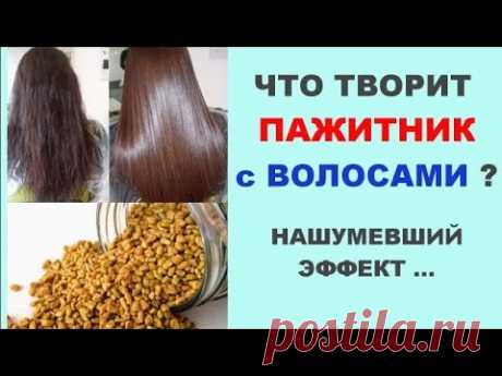 Что творит пажитник с волосами ?