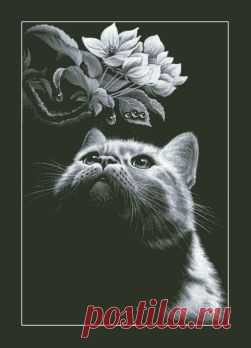 Кот с магнолией. Вышивка крестом.
