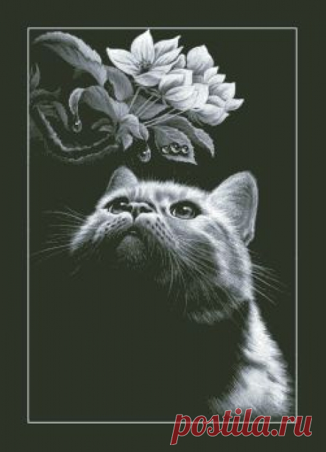 Кот с магнолией. Вышивка крестом.
