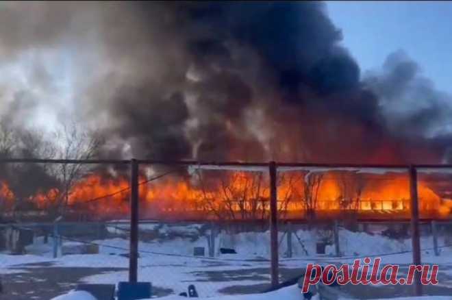 Пожар в приюте «Пес и кот» на Сахалине полностью ликвидирован. В Южно-Сахалинске произошло возгорание в приюте для животных «Пес и Кот».