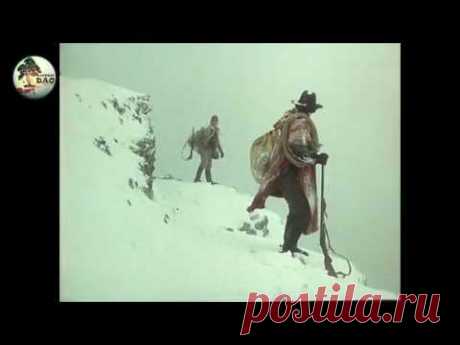 "Зри в корень" N1: "Работа - не волк: в лес не убежит!" ("Доктор Дао"/2017)
