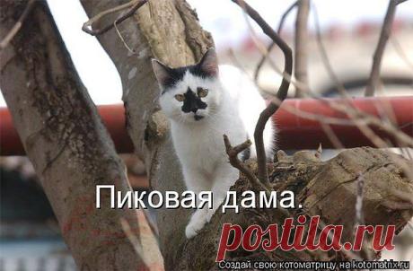 Интересные новости