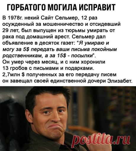 Горбатого могила исправит - 12 Февраля 2021 - NewRezume.org