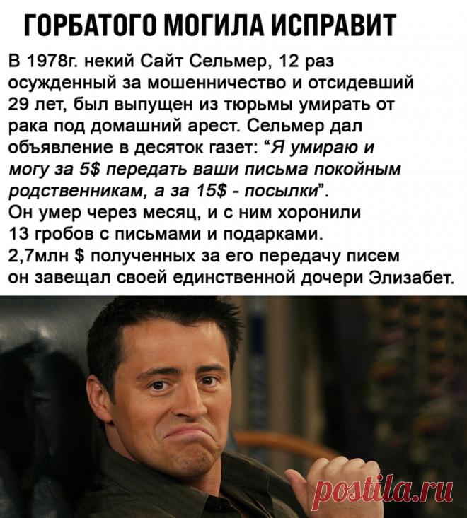 Горбатого могила исправит - 12 Февраля 2021 - NewRezume.org