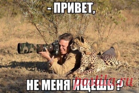 Смешные картинки с подписями / Приколы