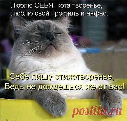 хх