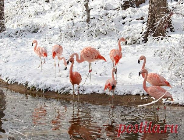 КРАСОТЫ ПРИРОДЫ