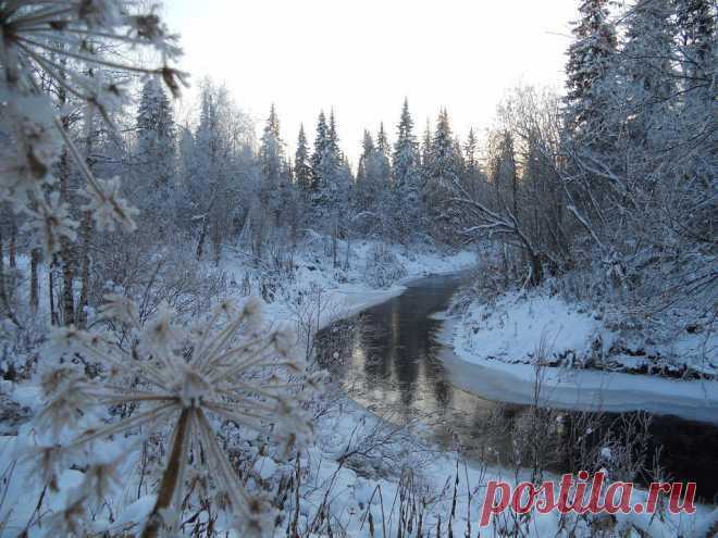 ФОТОМАСТЕРСКАЯ ПРИРОДЫ
вера дроконова
