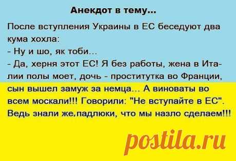 Украинские приколы. Суперподборка! / Писец - приколы интернета