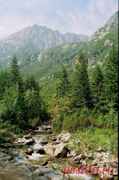 Найдено на сайте flickr.com.