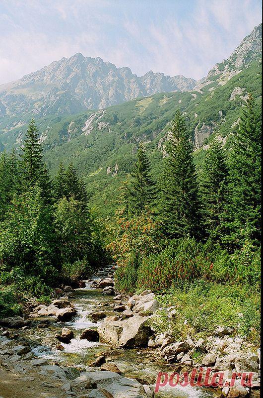 Найдено на сайте flickr.com.