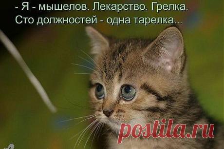 Требую прибавки!