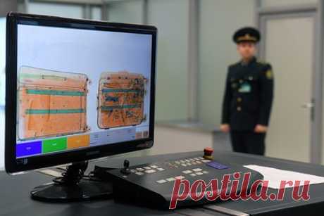 Авиаинспектор назвал самые необычные и жуткие грузы пассажирских самолетов. Инспектор службы авиационной безопасности одного из московских аэропортов назвал самые необычные грузы, которые ему доводилось проверять. По его словам, нередко на самолетах отправляют животных, причем не только обычных кошек или собак, но и экзотических зверей. Иногда среди грузов встречаются урны и гробы.