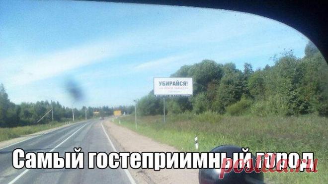 Фото приколы (105 фото) - Фото приколы - поднятия настроения картинок угарных подборка