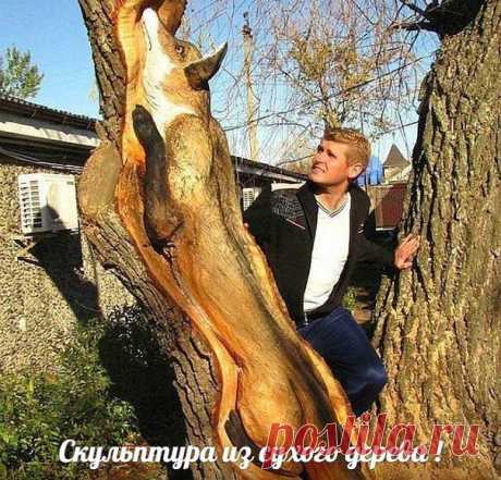 Светлана Болотова